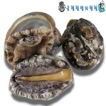 [굴철철] 통영제철수산물 당일조업발송, 1개, 전복500g중(8미내외)
