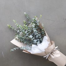 [피오니페페] 그리너리한 유카리 꽃다발 드라이플라워, 크라프트지