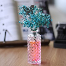 샬롯 롱 크리스탈 유리 화병 100ml, 투명