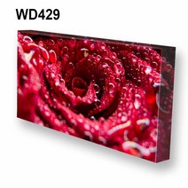 몽차 와이드 캔버스액자, WD429, 1개