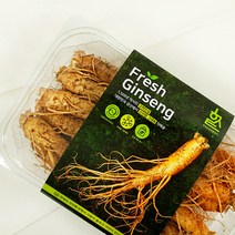 한국인삼유통공사 고려인삼 5호 수삼 금산풍기인삼센타, 1개, 자연그대로 600g