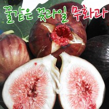 무화과 무화과생과 해남 생무화과 열매 8팩 3.2kg~3.6kg(35~40과), 500g