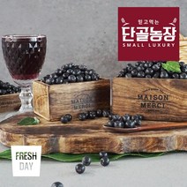 프레시데이 고창 프리미엄 아로니아 냉동생과 (줄기제거), 1박스, 10kg