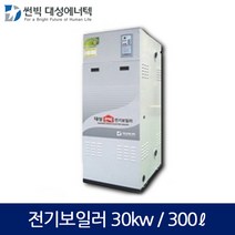 대성 산업용 축열식 전기보일러(30kw/300L) DBE-30