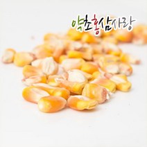 약초홍삼사랑 국산 노란옥수수 알 말린 옥수수알, 2개, 1kg