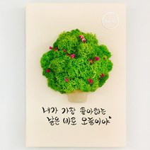 온향 스칸디아모스 포인트 천연이끼액자(화분형) 공기정화식물 스칸디아모스 천연이끼 인테리어액자 홈데코 집꾸미기 개업 집들이 생일 명정 어버이날 스승의날 특별한선물 원하는글귀, 베이지&그린