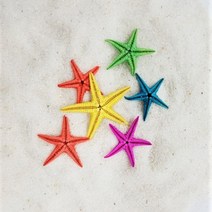 [캔들레이디] 젤캔들재료 - 컬러 불가사리 6p