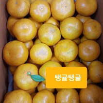 [돌하루방농원]감귤, 1박스, 10키로