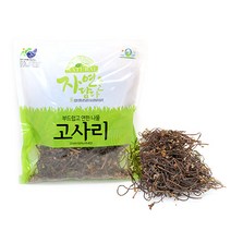 고사리 자연을 담다 전남 고흥산 말린 고사리100g, 1봉, 100g