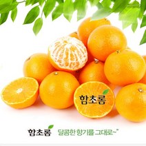 나혼자 잘~산다 함초롬 제주황금향 3kg[13-15내], 1박스, 3kg 13-15내