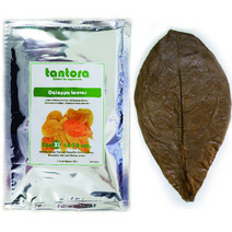 탄토라 알몬드잎 XL (10장), 단품