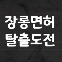더굿데이 초보운전 스티커 심플서체 화이트 글자시트지 42종, 33_장롱면허 탈출도전