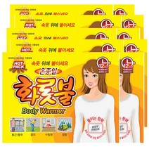 온종일 화롯불 핫팩 파스형 40g X 10개, 1개