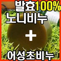 [오후3시 당일발송] YB맘 어성초비누 2p +노니비누 1p +거품망 1세트, 100g