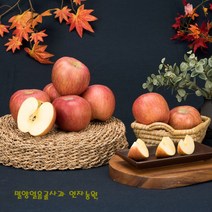 연자농원 밀양얼음골사과(대) 10kg (30과), 1박스
