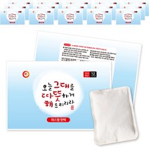 HAPPYDAY 해피데이 따뜻해 파스형 핫팩 50g, 30매