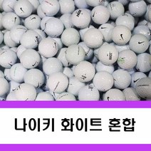 나이키 로스트볼 피스 혼합 A-100알 골프공