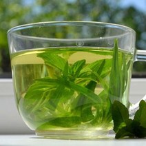 [아로마케이] 케리어오일 베이스오일 비누만들기재료, C_01 녹차씨오일100ml