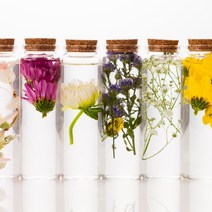 [캔들이케아] 프리미엄 하바플라리움 하바리움용액, 하바리움용액500ml