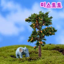 미스토토 테라리움 만들기 재료 나무오렌지나무7.2cm