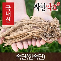 국내산 속단(한속단) 200g, 1개