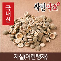 국내산 지실(어린탱자) 100g, 1개