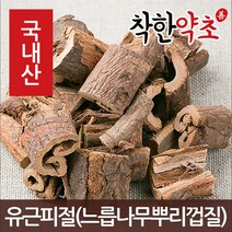 착한약초 국내산 유근피절(느릅나무뿌리껍질) 100g, 1개