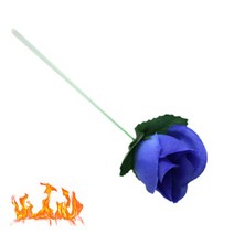 토치 투 로즈-블루(Torch To Rose-Blue)
