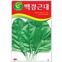 흑금장파 씨앗 2000립 / 채소씨앗 파 파씨 파씨앗, 18_백경근대(5g)