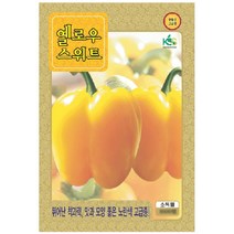 씨앗 파프리카 옐로우 스위트 파프리카 10립