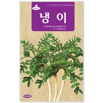 청농종묘 더덕 씨앗 1500립 더덕씨앗 더덕씨 산나물 씨, 18_냉이(5000립)