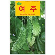 청농종묘 경수채 씨앗 15g 경수채씨앗 경수채씨 교나 미즈나, 31_여주(10립)