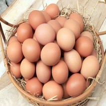 맛있는 구운계란 30구, 1개, 60구