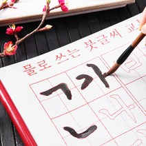 홈앤핫딜 물로쓰는 붓글씨 수지두들 A세트, A set
