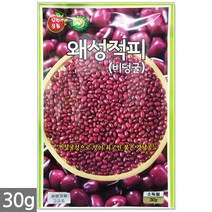 청농종묘 땅콩호박 씨앗 10립 땅콩호박씨앗 땅콩호박씨 호박씨앗 호박씨, 03_왜성적피강낭콩(30g)
