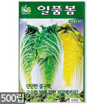 청농종묘 황백 초당옥수수 씨앗 100립 초당옥수수씨앗 옥수수씨앗 초당옥수수씨 옥수수씨, 16_일품봄배추(500립)