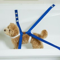 댕댕이천국 강아지 목욕 도움줄, 블루, 1set