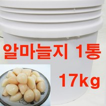 건영푸드 아삭아삭 알마늘지 1통(대용량) 새콤달콤 장아찌, 17kg, 1통