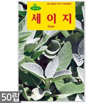 챠빌 씨앗 500립 / 허브씨앗 챠빌씨앗 허브씨 챠빌씨 처빌 허브 향신료, 08_허브_세이지(50립)