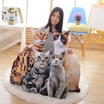 buzzle 3D 프린트 리얼 고양이 쿠션 인형 50-75 동물인형, 렉돌, 75cm