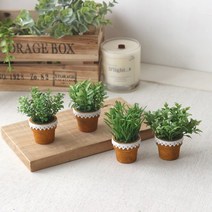 인테홀릭 NEW 미니허브 레이스화분(4p set), 상세 설명 참조