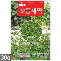 밀 새싹 씨앗 50g / 새싹씨앗 밀씨앗 밀새싹씨앗 새싹밀 밀씨 캣그라스 캣글라스 고양이풀, 01_새싹씨앗_모듬새싹(30g)
