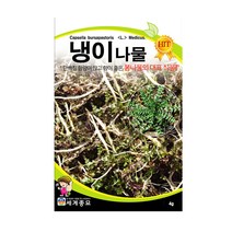 모칸도 세계 냉이나물 4g, 1개