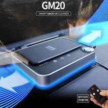 지엠지모터스 그린몬스터 차량용공기청정기, GM20