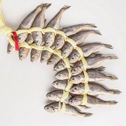 착한굴비 국내산 영광 법성포굴비 참조기 실속형 가정용, 1세트, 20미 1.6kg