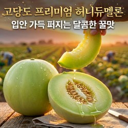 고당도 프리미엄 허니듀멜론, 3개, 2kg