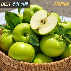 새콤달콤 저탄소 청사과 1kg(소과)