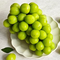 산지직송 샤인머스켓 당도보장, 맛보기,1kg 1~3수, 1개