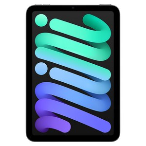 Apple 2024 아이패드 mini A17 Pro, 스페이스 그레이, 128GB, Wi-Fi