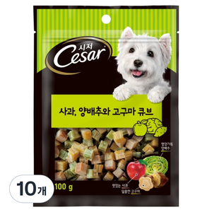 시저 강아지 간식